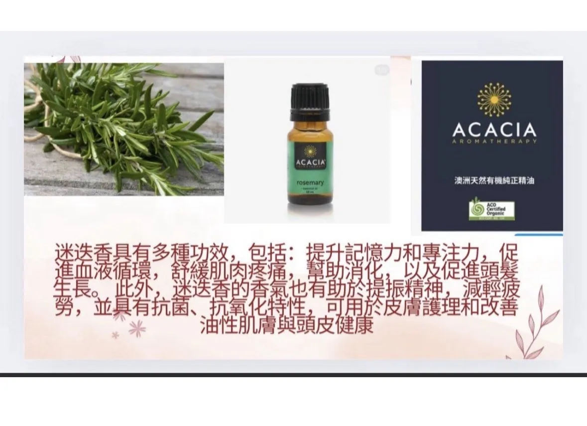 澳洲100%天然迷迭香10Ml