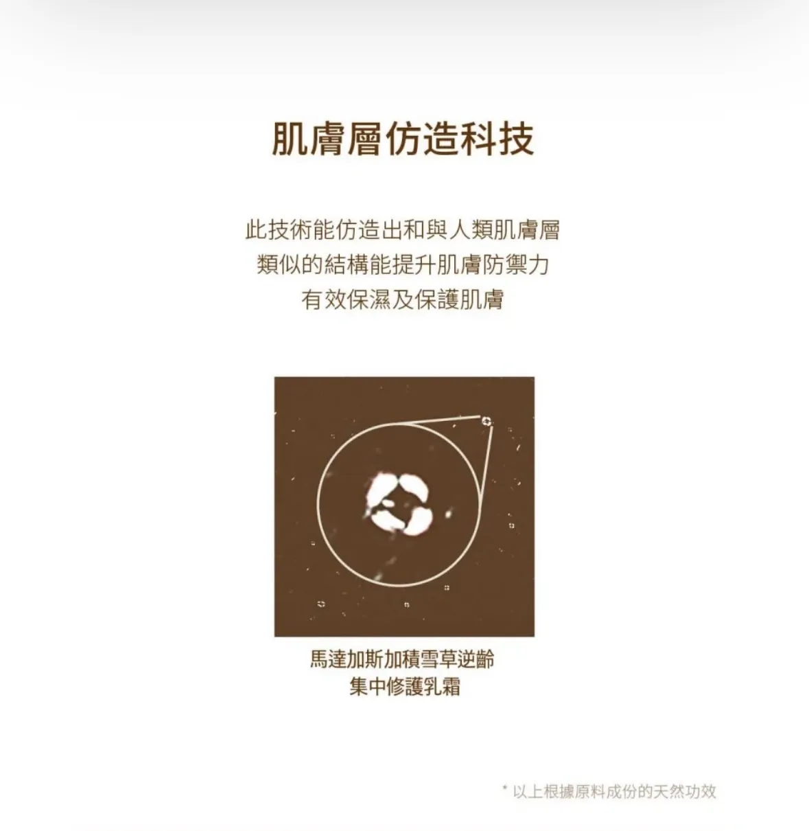 韓國🇰🇷SKIN1004 馬達加斯加積雪草益生菌滋潤修護面霜（Probio-Cica Enrich Cream 80ml）
